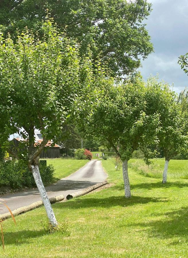 La Charbonniere Panzió Mohon Kültér fotó